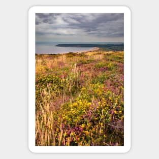 Oxwich Bay from Cefn Bryn, Gower Sticker